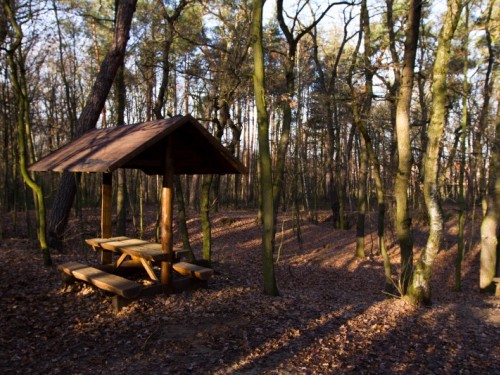 Nedaleký lesík - místo pro piknin
